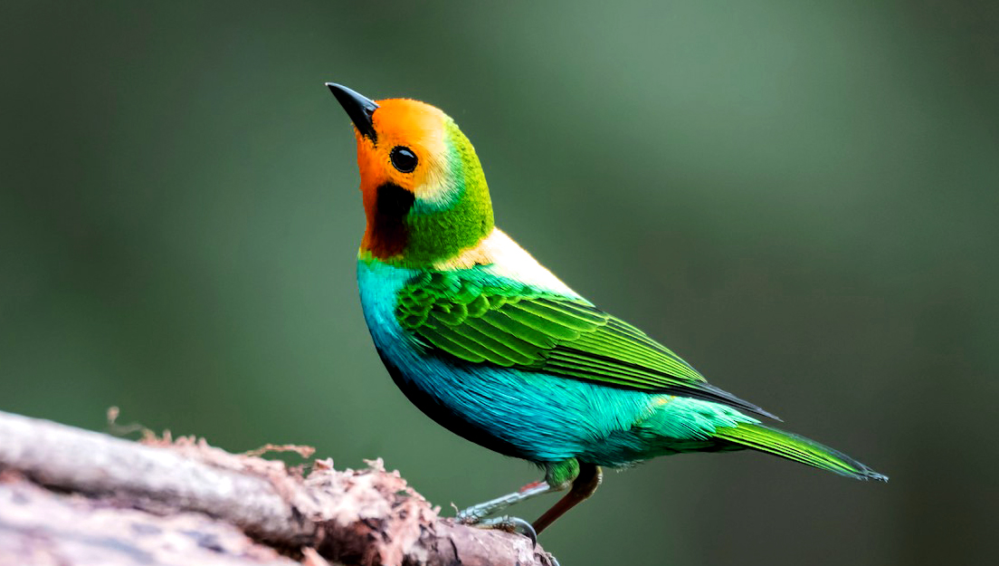 &quot;Logical love above hate&quot; the mystery beyond my sight